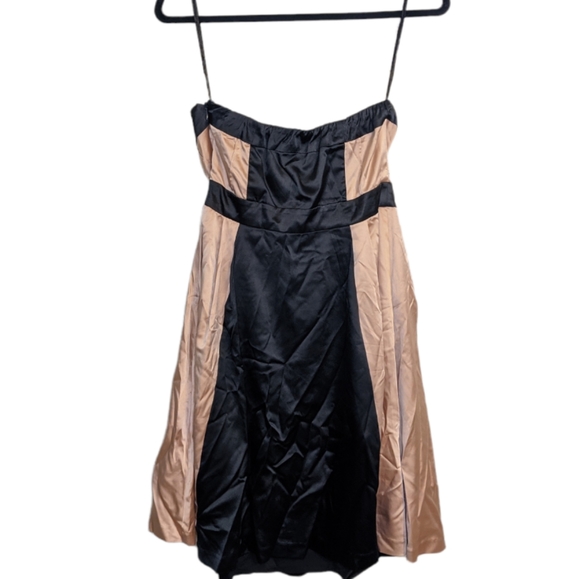 The Limited Strapless Silky Dress Size 4 ✨ - Picture 2 of 8